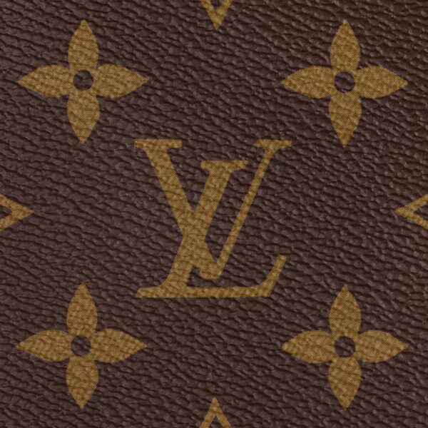 LV Speedy Bandoulière 20 M46234 LOUIS VUITTON - Image 7